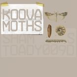 Artwork for "Moths"