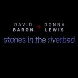 Artwork voor "Stones in the River Bed"
