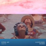 Portada para "Cosita"