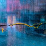 Artwork für "Find Your Amusement"