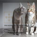 Artwork for "Freaking Out 6 Months by Tugas"