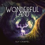 Artwork voor "Wonderful Land"