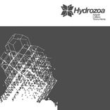 Portada para "Collision (Timmo Remix)"