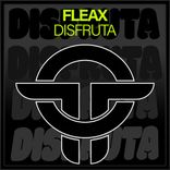 Artwork voor "Disfruta"