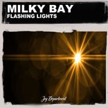 Artwork für "Flashing Lights (Nu Ground Foundation Mixes)"