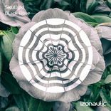 Artwork for "Black Rose"