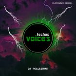 Artwork for "Techno Voices"