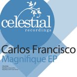 Artwork voor "Magnifique"