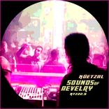 Artwork for "Sounds Of Revelry"