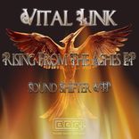 Artwork for "Rising From The Ashes EP"