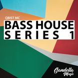 Artwork for "BASS HOUSE SERIES 1"