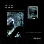 Artwork for "OFFICIAL DEMOLITIONS"