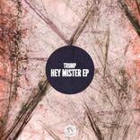 Artwork for "Hey Mister Ep"