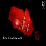 Portada para "Shabe Haftom Moharam 94"