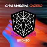 Artwork voor "Gazebo"