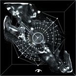 Artwork for "Don't Be Scared"