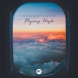 Artwork voor "Flying High"