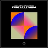 Artwork for "Perfect Storm"