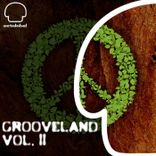 Artwork voor "Grooveland, Vol. II"