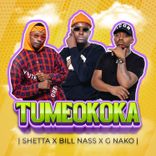 Portada para "Tumeokoka"