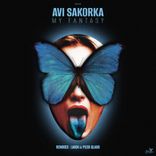 My Fantasy (Laion Remix)