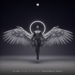 Artwork für "Hiding to Nothing"