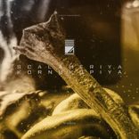 Artwork voor "Kornukopiya"