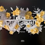 Artwork for "Tribal Echoes"