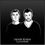 Portada para "Never Knew"