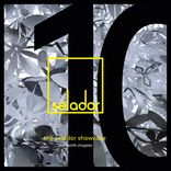 Artwork voor "The Selador Showcase - The 10th Chapter"