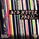 Artwork voor "Big House From..."