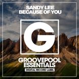 Artwork for "Because Of You"