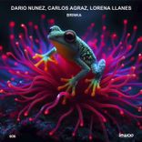 Artwork for "Brinka"