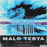 Artwork for "Malo Tebya (Pxlish Beatz Remix)"