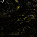 Artwork for "Meridian"