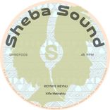 Portada para "Woyniye Weynu"