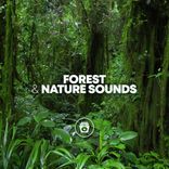 Artwork voor "Forest & Nature Sounds"