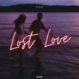 Artwork voor "Lost Love"
