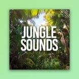 Portada para "Jungle Sounds"