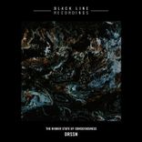 Artwork für "The Higher State of Consciousness"