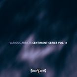 Artwork for "Sentiment Series Vol.11"