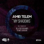 Artwork voor "My Shadows"