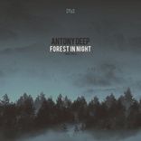 Artwork for "Forest In Night"