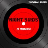 Artwork for "Night Birds"