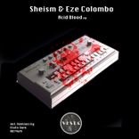 Artwork for "Acid Blood"