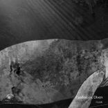 Artwork for "I Look"