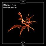 Artwork for "Hidden Secret"
