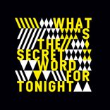 What's The Secret Word Tonight