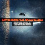 Artwork voor "Silver Bullet (CJay Swayne Remix)"