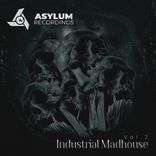 Artwork for "Industrial Madhouse, Vol. 2"